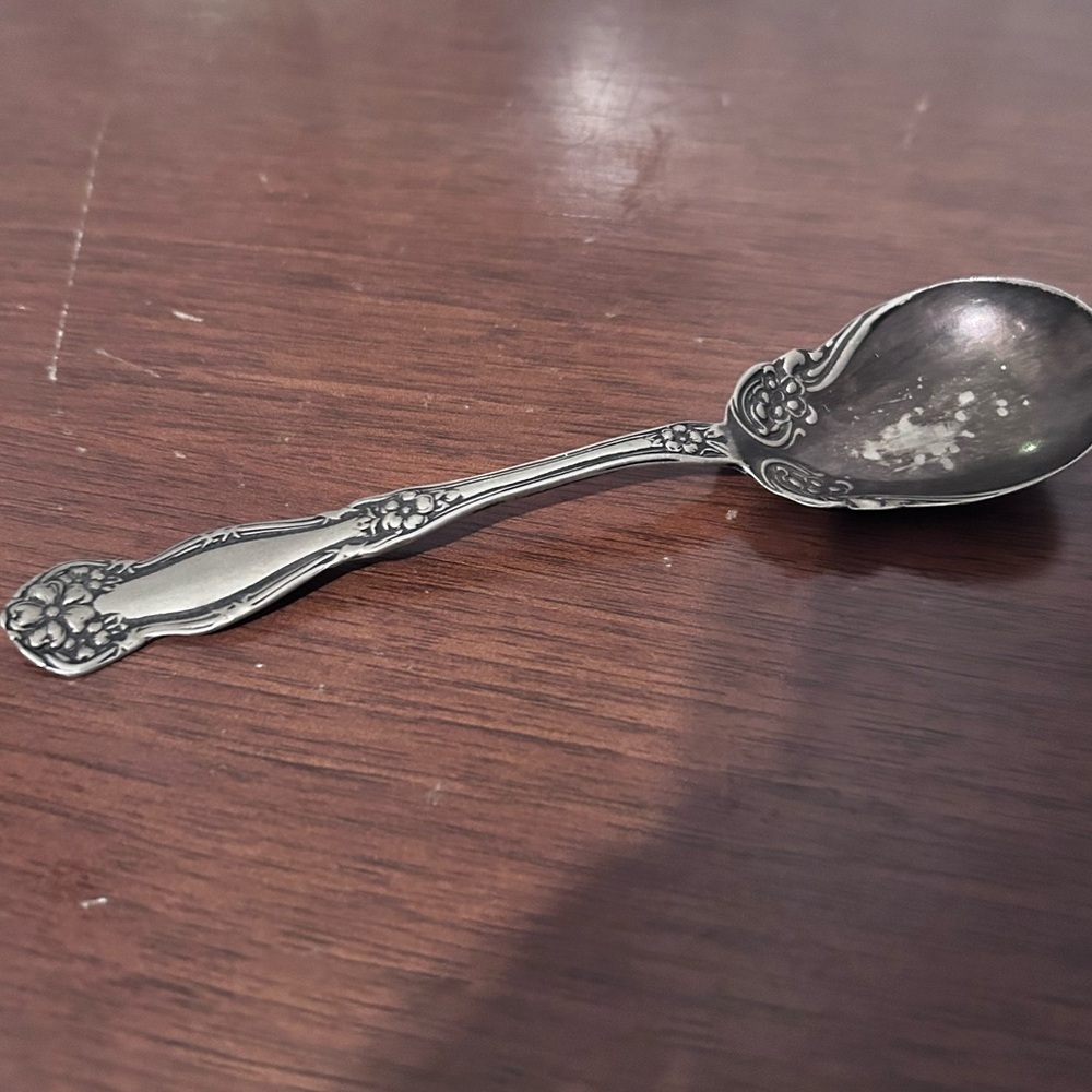 Vintage Wn. Roger’s & Son “Arbutus” pattern silver plate sugar spoon - preloved